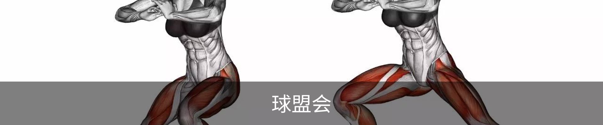 球盟会